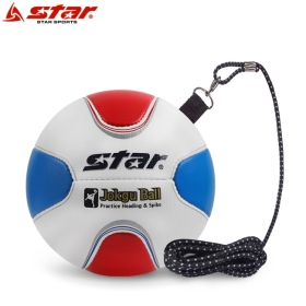 족구공 레딩 및 스파이크 훈련용 볼 II