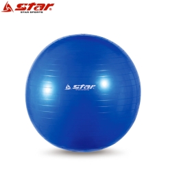 마사지 짐볼 블루 55cm