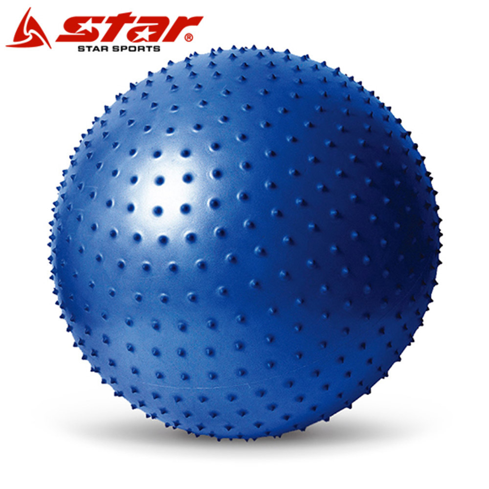 마사지 짐볼 블루 EB220-07 마사지 짐볼 블루 EB220-07