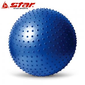 마사지 짐볼 블루  EB220-07