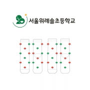 서울위례솔초등학교의 초등저학년과 초등고학년용 패션 중목양말 제작사례