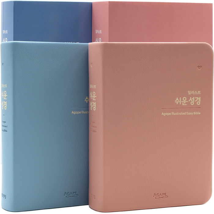 일러스트 쉬운성경 특소단본
