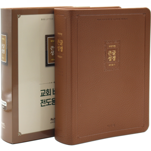 비치용 큰글성경 대합본 무지퍼 브라운