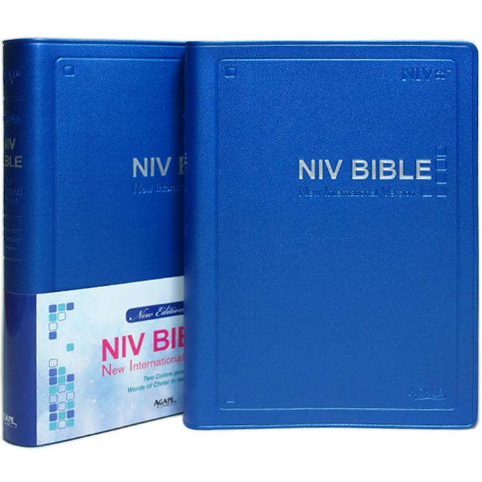 NIV BIBLE Small Blue(Unzipped)