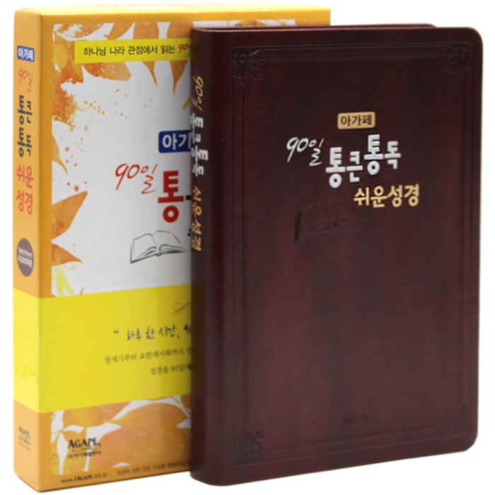 90일 통큰통독 쉬운성경 대단본 다크브라운