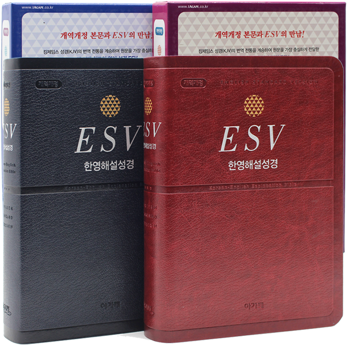 개정판 ESV 한영해설성경 특중단본