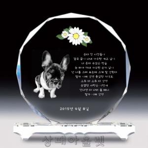 M819/노방울크리스탈