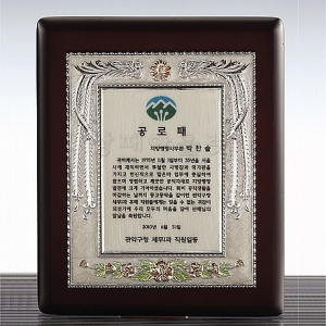 C8-225B/진주펄사각상패