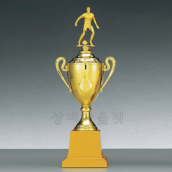 WD40/축구트로피