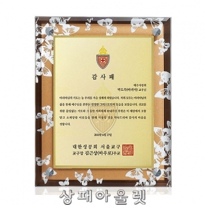 DSP1625/칼라입체 다보상패