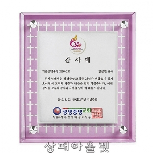 DSP1639/칼라입체 다보상패