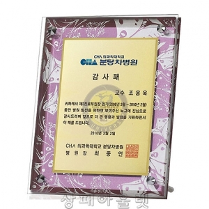 DSP1653/칼라입체 다보상패