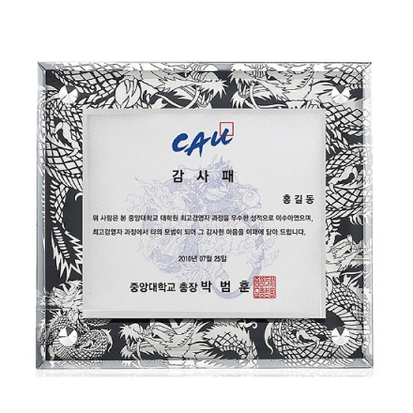 DSP1621/칼라입체 다보상패