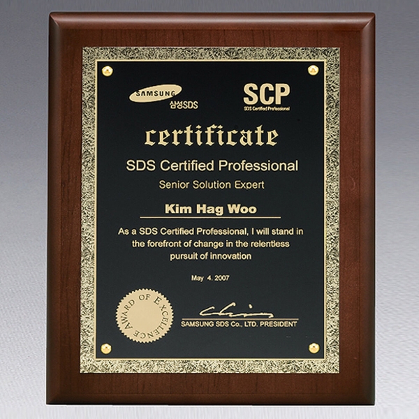 DSP-266C/메탈포토상패