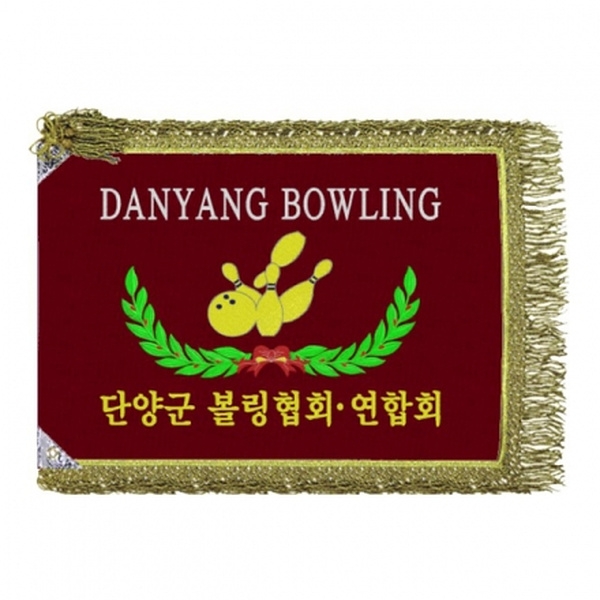 단양군볼링 모임기(금수술)