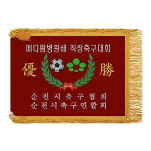순천시축구 모임기(노란수술)