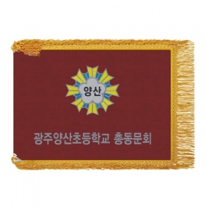 광주양산초 모임기(노란수술)