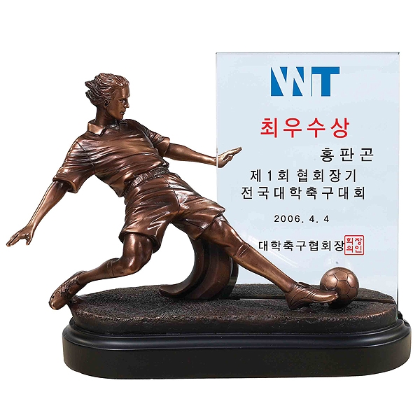 WNS39/축구트로피