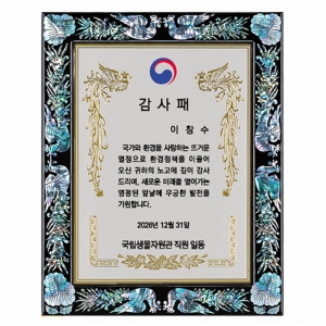 SP14-406C/천연진주자개상패