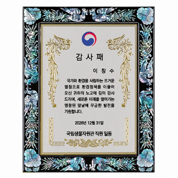 SP14-406C/천연진주자개상패