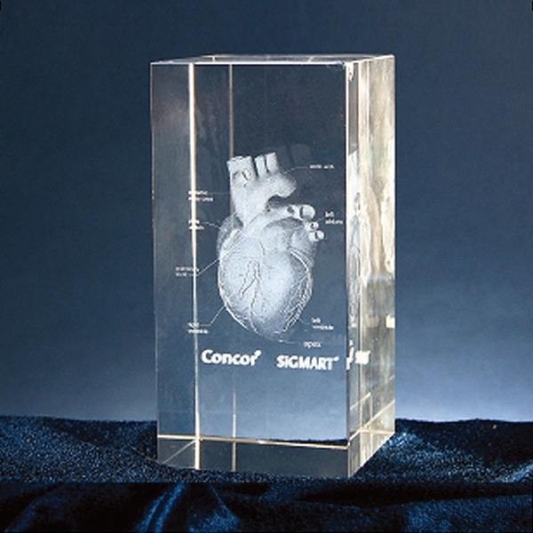 WC9-48C/크리스탈2D,3D레이저