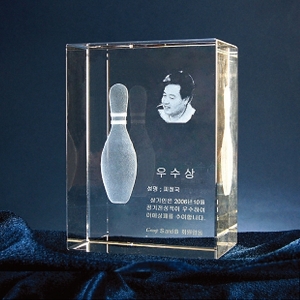 WC9-48D/크리스탈2D,3D레이저