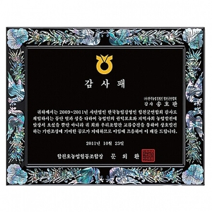 SP14-373D진주자개상패