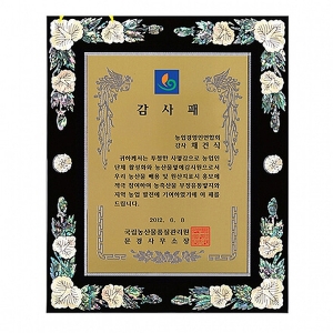 SP14-375B진주자개상패