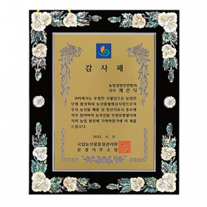 SP14-375B진주자개상패