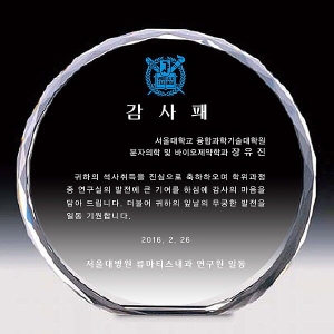 SPO-15/통크리스탈