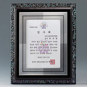 C10-180/자개알미늄상패