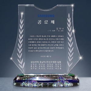 SPO-1971/독도수호 방패상패