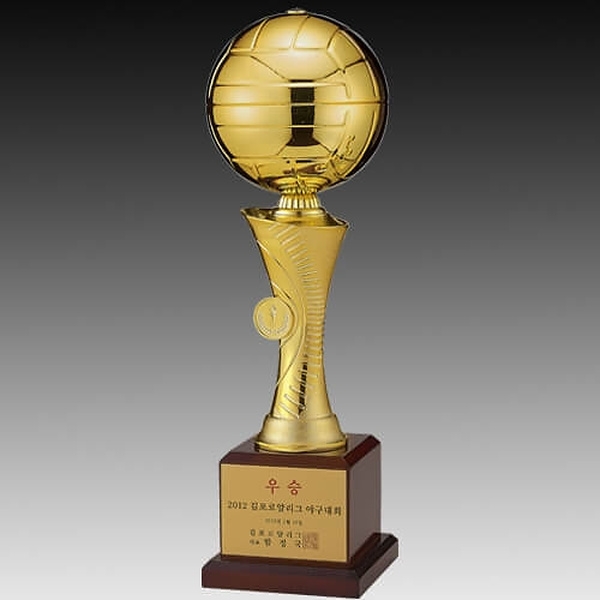 WD8-72(배구)