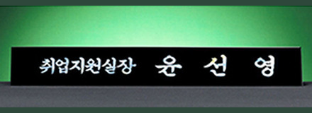 HW310-13-1/삼각자개명패