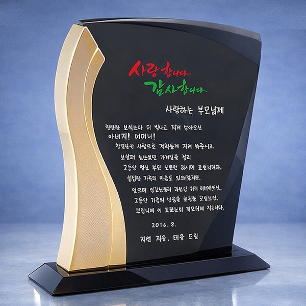 DS11-176/고급감사패