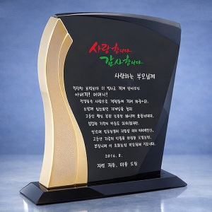 DS11-176/고급감사패