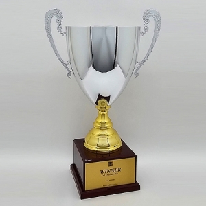 J10-05-1/대형트로피