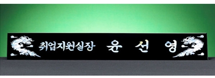 HW310-4/삼각자개명패(용)