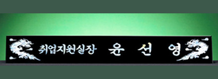 HW310-4/삼각자개명패(용)