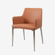 쉬리암 실버/브라운