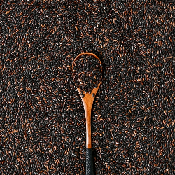 강화섬쌀 볼음도 흑미 흑향찰 960g 5개입 10개입 2025년산 진공포장