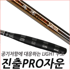 프로 자운 진출식