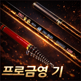 프로 금영기