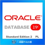 ORACLE DBMS SE2 19c PL (프로세서 라이센스)