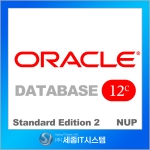 ORACLE DBMS SE2 12c 10NUP (10유저 라이센스)