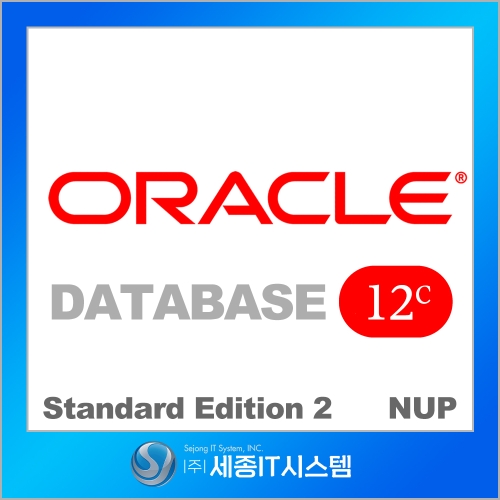 ORACLE DBMS SE2 12c 20NUP (20유저 라이센스)