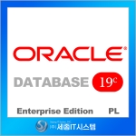 Oracle Database 19c Enterprise Edition 0.1PL for x86 Server