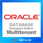 Oracle EE Multitenant 1NUP for UNIX Server
