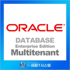 Oracle EE Multitenant 0.1PL for UNIX Server