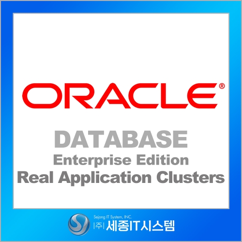 Oracle EE Real Application Clusters 0.1PL for UNIX Server